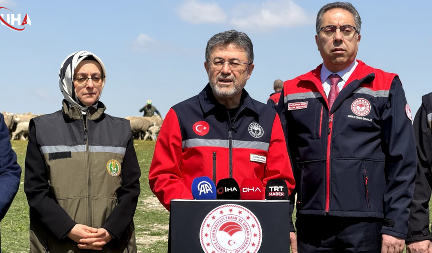 Bakan Yumaklı: 95 Dişi, 5 Erkek Küçükbaş Hayvan Vereceğiz