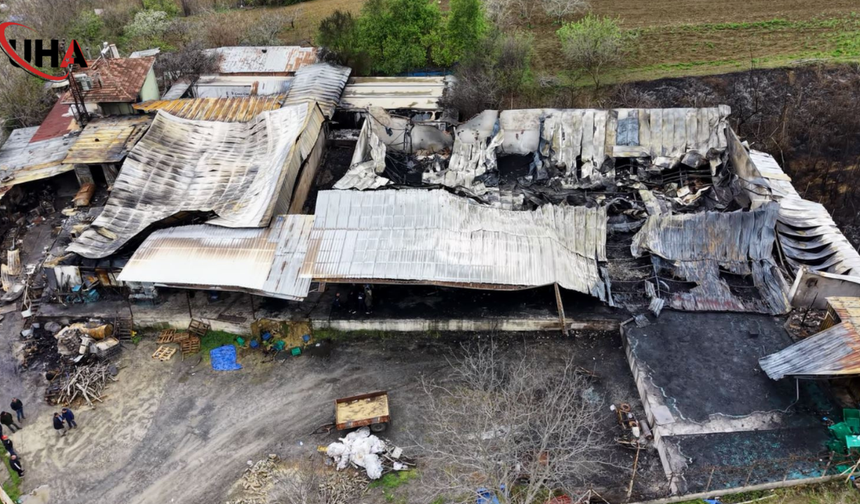 Samsun’da Yangının Bilançosu Gün Ağarınca Netleşti: Meyve Deposu Kül Oldu