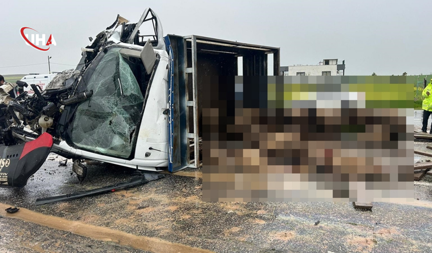 Siirt'te Can Pazarı: Koyun Yüklü Kamyonet Otomobille Çarpıştı