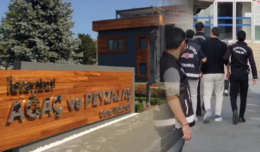 İBB Ağaç ve Peyzaj AŞ. Operasyonunda Yeni Gelişme: 20 Kişiye Tutuklama Talebi!