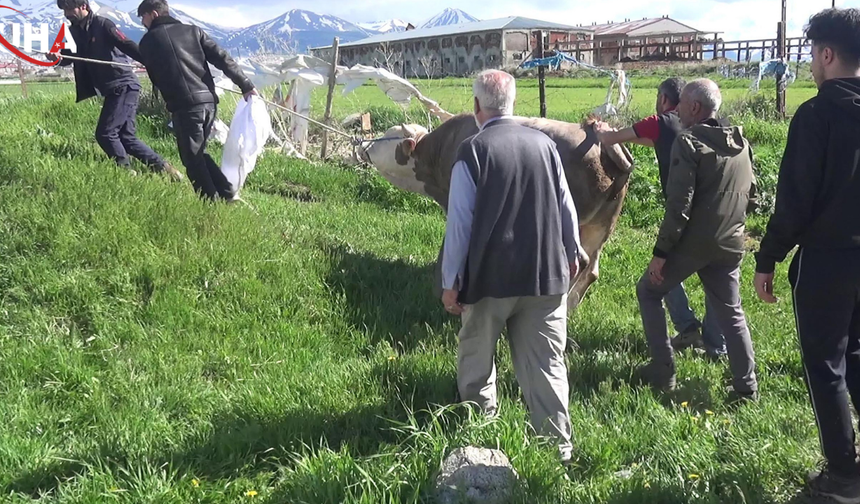 Erzurum’da Bayram Sabahı Kurban Keserken Kalp Krizi Geçirip Hayatını Kaybetti