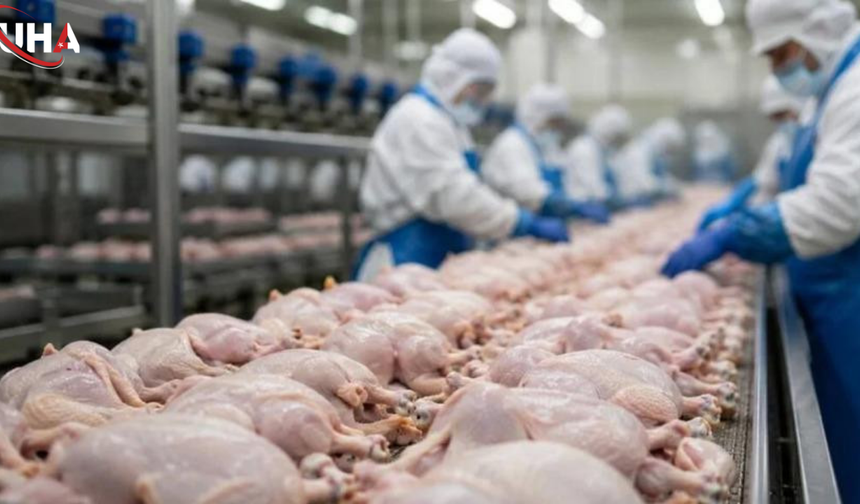 Beyaz Et Sektöründe Kayyum Kararları Tamamen Kaldırıldı