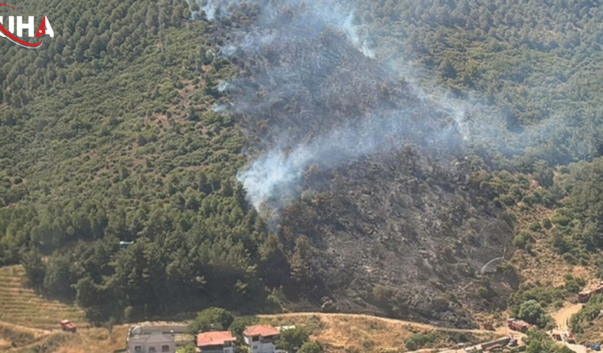Burhaniye'de Korkutan Orman Yangını