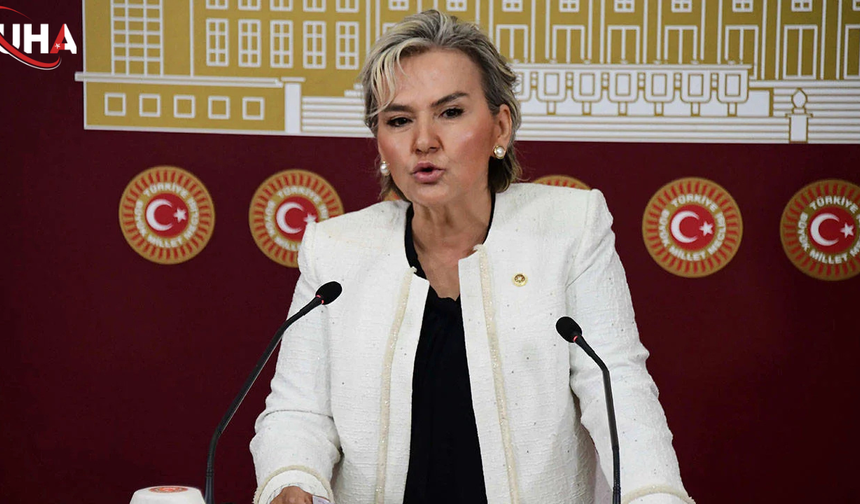 CHP Milletvekili Nimet Özdemir İstifa Etti