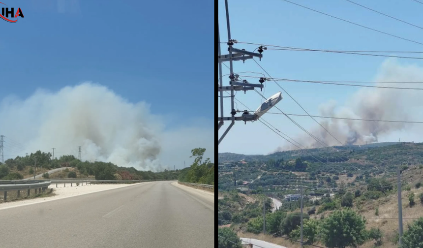 Çeşme'de Dev Yangın: Çöplükte Başladı Makiliğe Sıçradı
