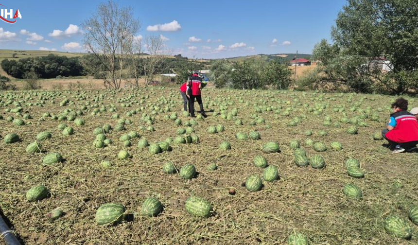 Tekirdağ'da Süper Hücre Felaketi: 35 Bin Dekar Tarım Arazisi Zarar Gördü
