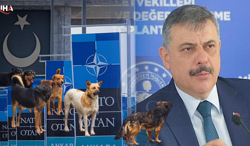 Bakan Çiftçi Tedbirleri Abartmadık, Ülkemizin İmajını Koruduk