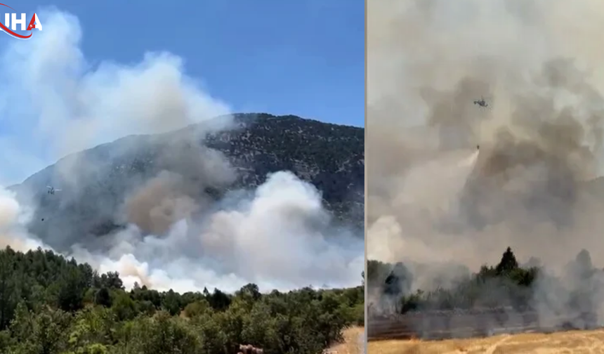 Antalya'da Ormanlık Alanda Korkutan Yangın