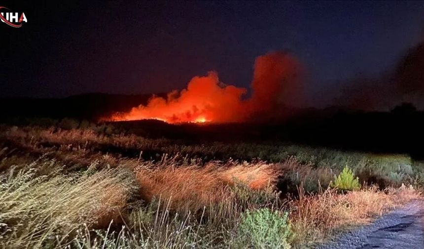 Çanakkale'den Acı Haber: Ayvacık'taki Yangına Yoğun Müdahale