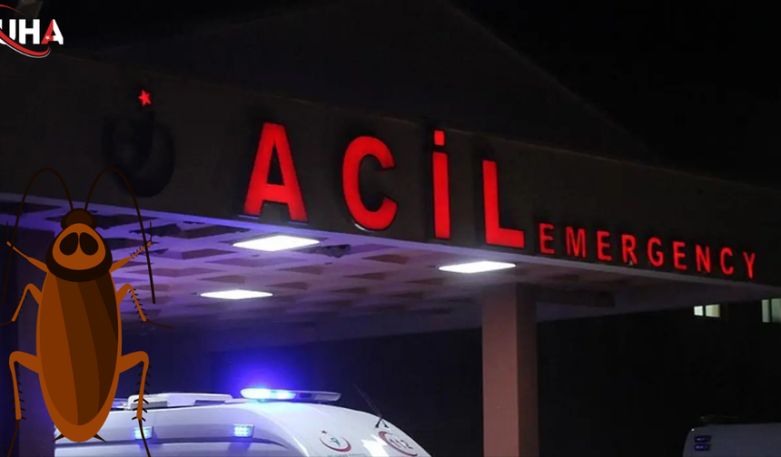 İlaçlama Yapılırken Onlarca İşçi Zehirlendi