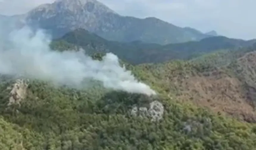 Antalya Kemer’de Orman Yangını