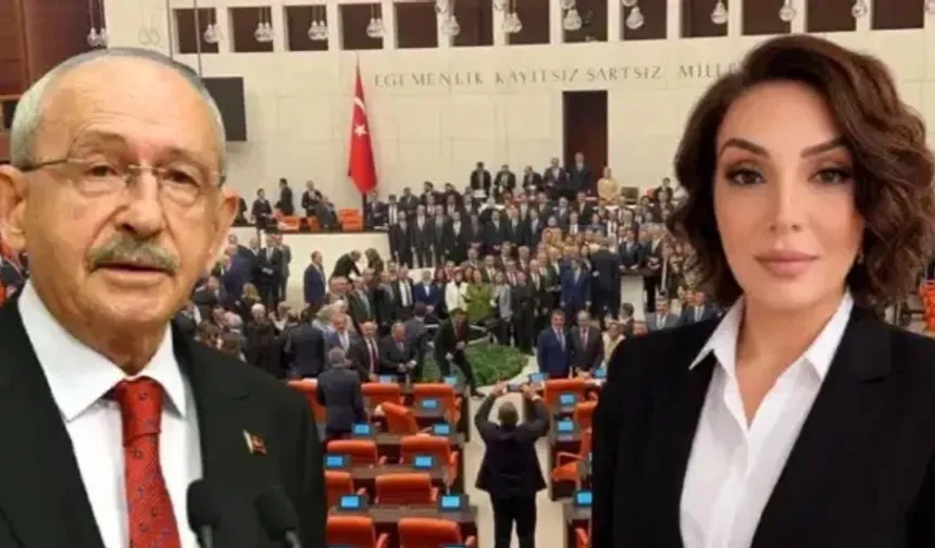 CHP'li İsimden 'Çerçeve Yasa' İstifası! 4 Gün Önce Göreve Getirilmişti…