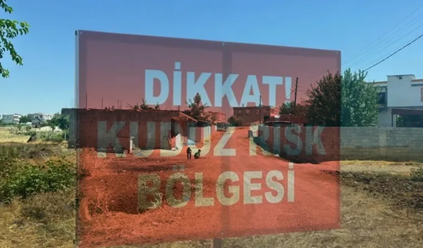 Diyarbakır'da 'Kuduz' Alarmı: Kedinin Isırdığı Çocuk Entübe Edildi