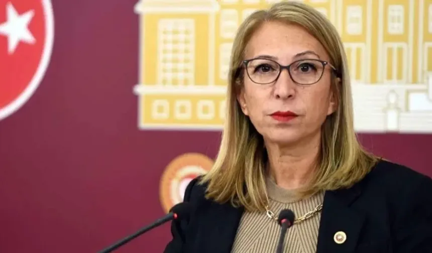 YENİ Parti’de ‘Çerçeve Yasa’ Çatlağı! Süreyya Öneş Derici ‘Hayır’ Oyu Vereceğini Açıkladı…