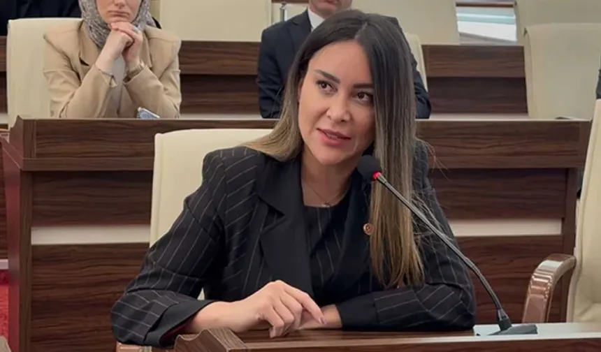 CHP'li Belediye Meclis Üyesi 'Azmettiricilik' Suçlamasıyla Tutuklandı! 'Şapkalılar' Suç Örgütüyle İlişki İddiası