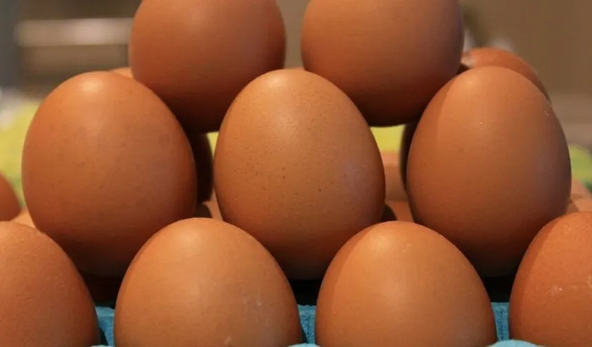 Marketlerde Salmonella Alarmı! O Yumurtalar İçin “Sakın Yemeyin” Uyarısı