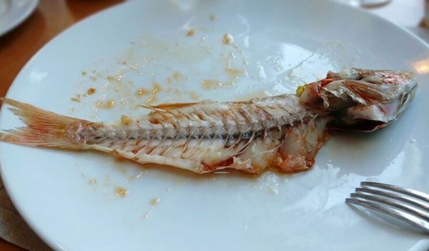 Çoğu Kişinin Faydasından Haberi yok: Sakın Temizledikten Sonra Çöpe Atmayın!