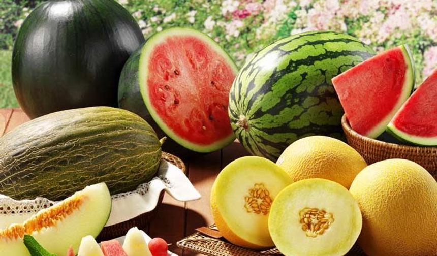 Kavun Ve Karpuz  Sağlığa Çift Yönlü Etkisi Şaşırtıyor