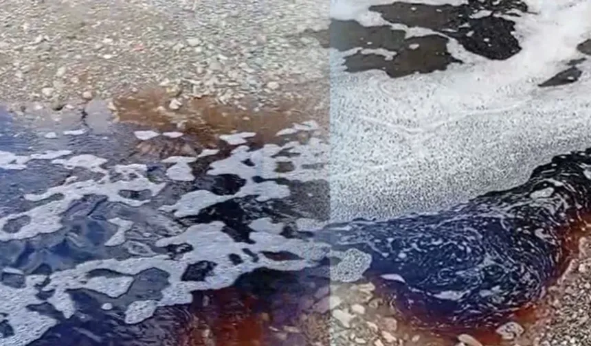 Yalova Açıklarında Deniz Yüzeyi Kırmızıya Boyandı