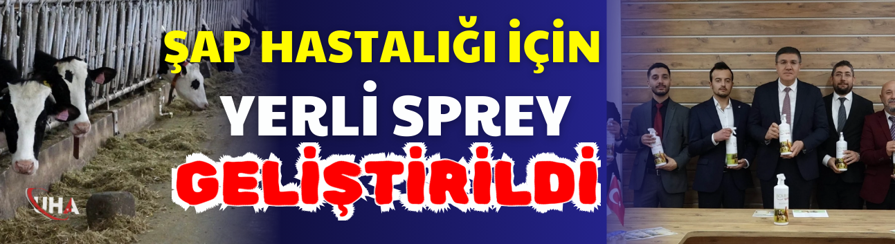Şap Hastalığı İçin Yerli Sprey Geliştirildi