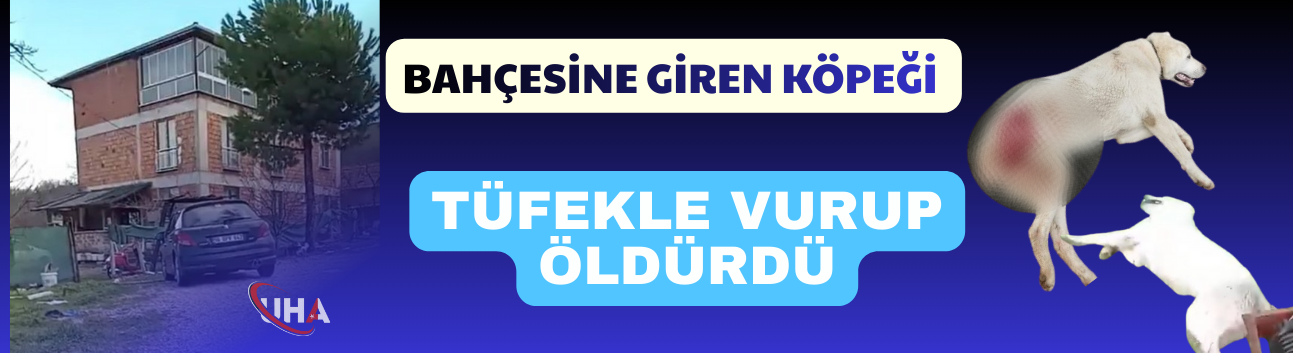 Bahçesine Giren Köpeği Tüfekle Vurdu