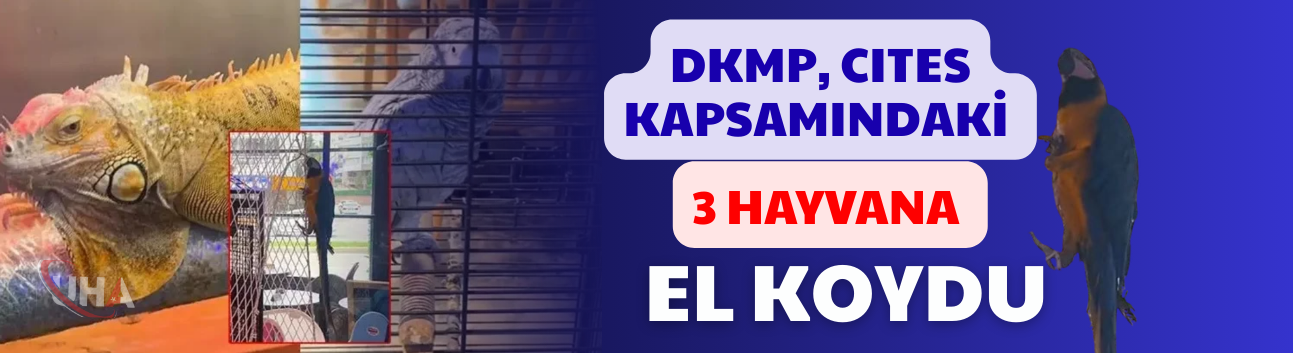 DKMP, CITES Kapsamındaki 3 Hayvana El Koydu