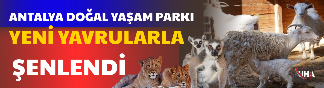 Antalya Doğal Yaşam Parkı Yeni Yavrularla Şenlendi