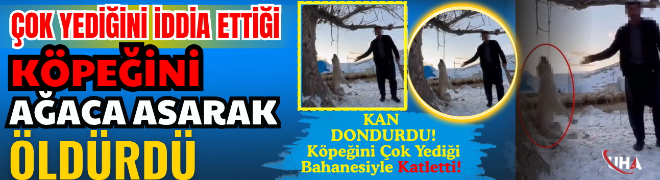 Çok Yediği Gerekçesiyle Köpeğini Ağaca Asarak Öldürdü