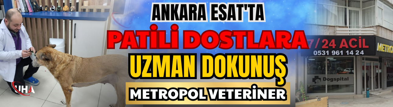 Ankara Esat'ta  Patili Dostlara Uzman Dokunuş: Metropol Veteriner