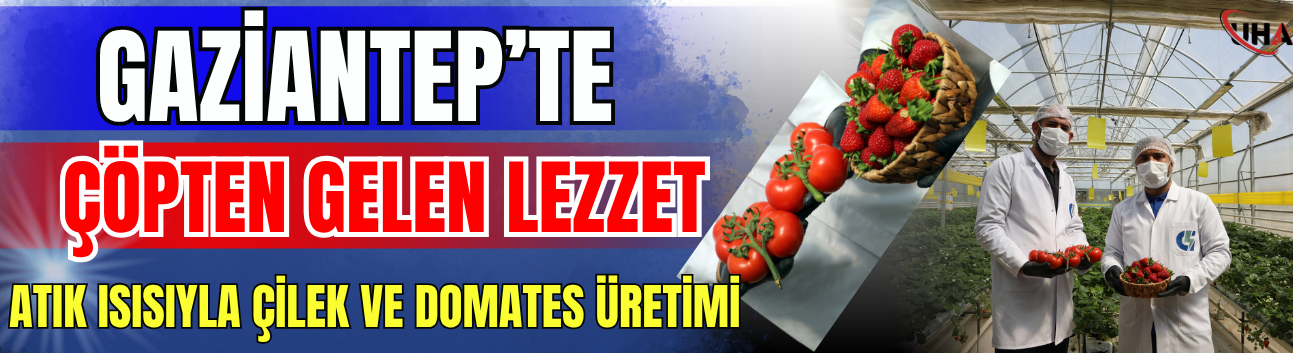 Gaziantep’te Çöpten Gelen Lezzet: Atık Isısıyla Çilek ve Domates Üretimi