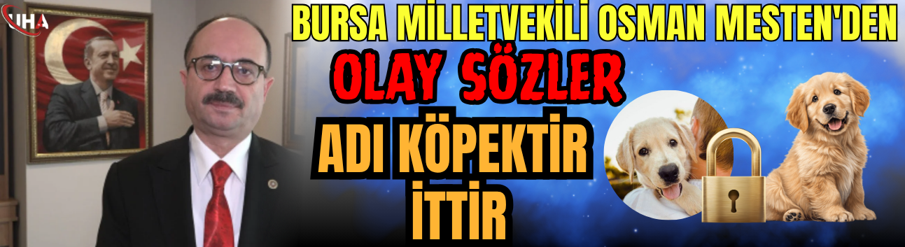Bursa Milletvekili Osman Mesten'den Hayvanseverlere Olay Sözler
