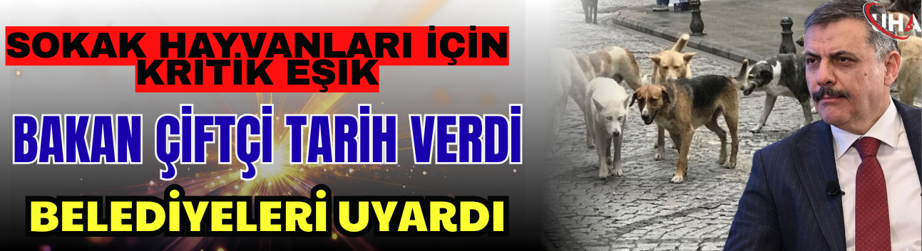 Sokak Hayvanları İçin Kritik Eşik: Bakan Çiftçi Tarih Verdi, Belediyeleri Uyardı