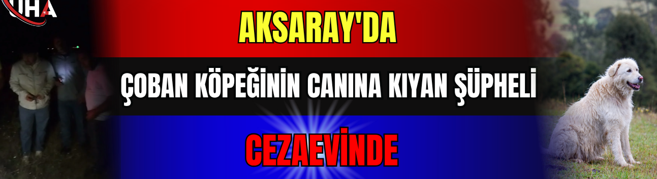Aksaray'da Çoban Köpeğinin Canına Kıyan Şüpheli Cezaevinde