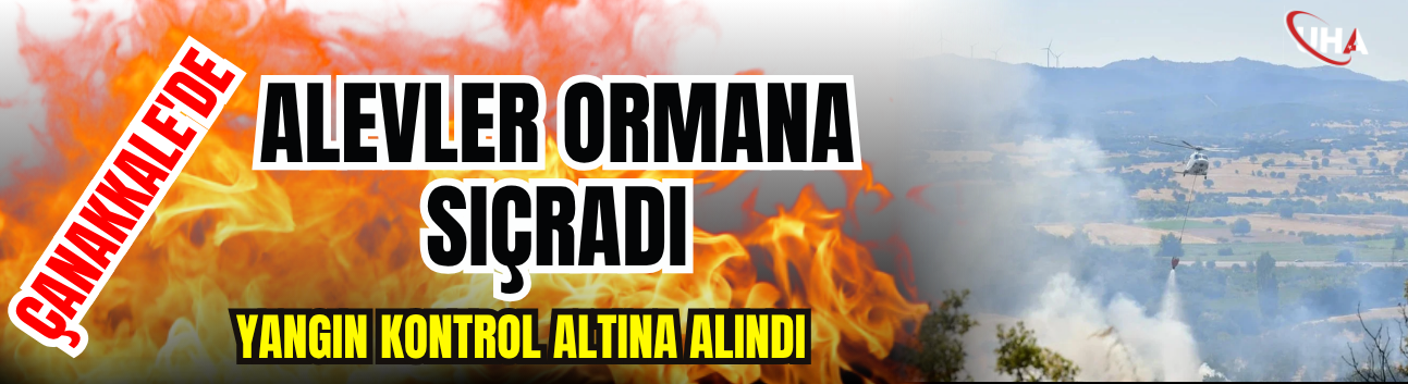 Çanakkale'de Alevler Ormana Sıçradı: Yangın Kontrol Altına Alındı