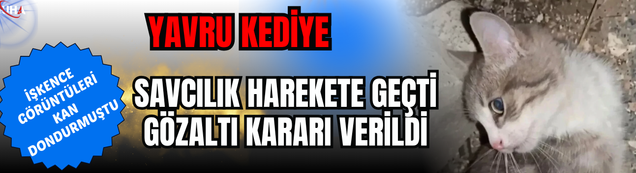 Yavru Kediye İşkence Görüntüleri Kan Dondurmuştu! Savcılık Harekete Geçti, Gözaltı Kararı Verildi