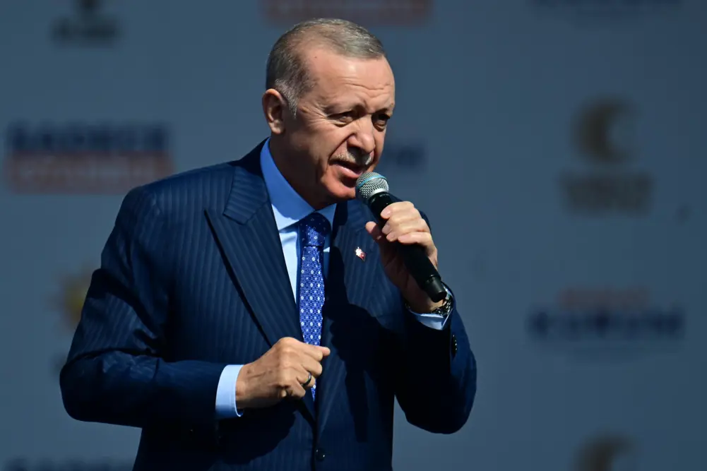 Erdoğan Ist Miting
