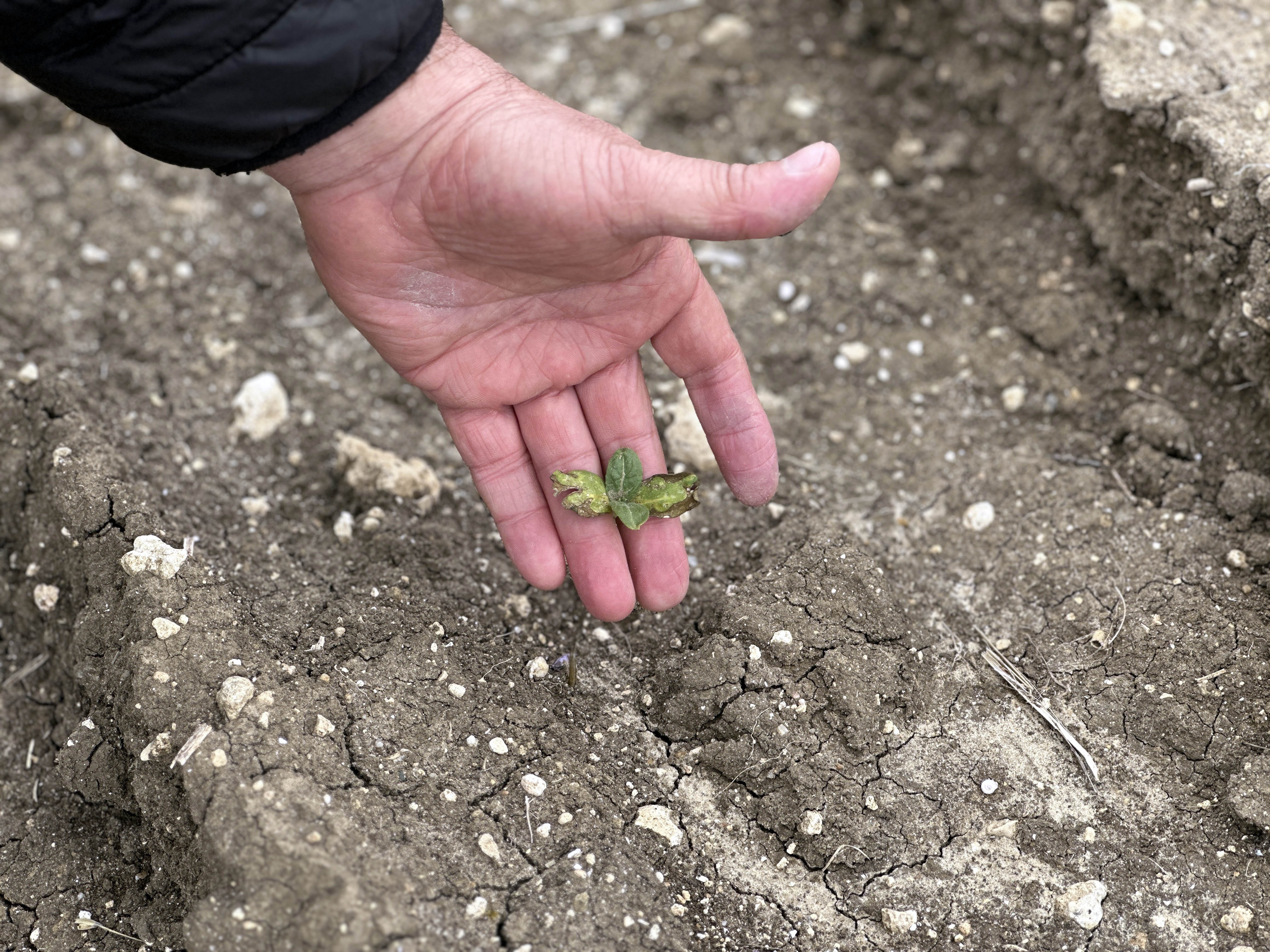 A Y C I C E G I S E L V E D O L U D A N Z A R A R G O R E N U R E T 662502 196402