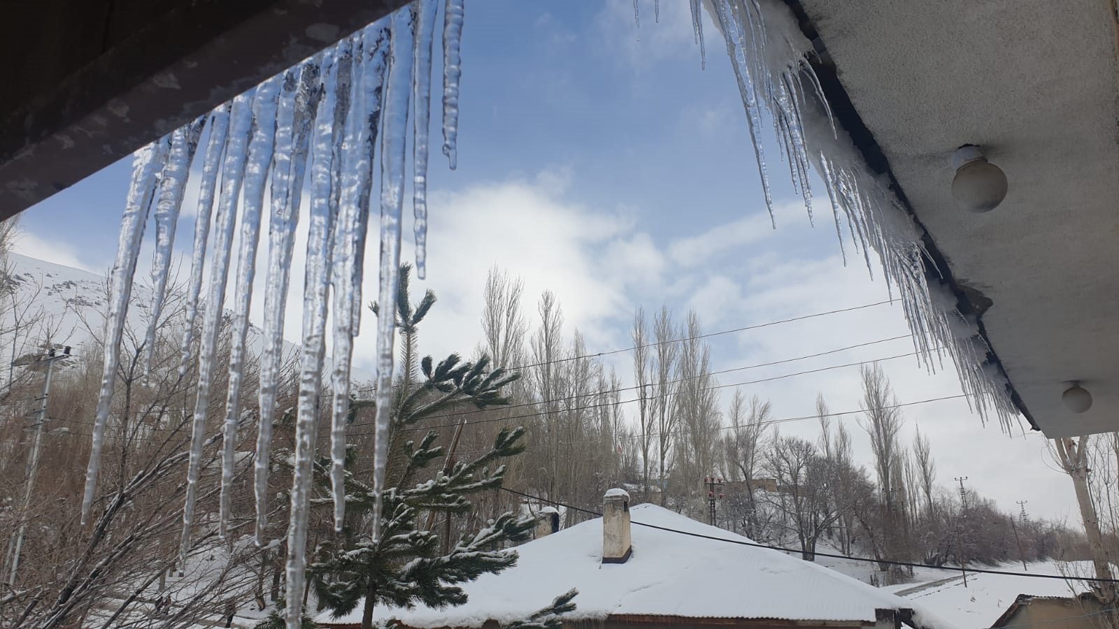 B A S K A L E D E E V L E R I N C A T I L A R I N D A B U Z S A R K I 662176 196292