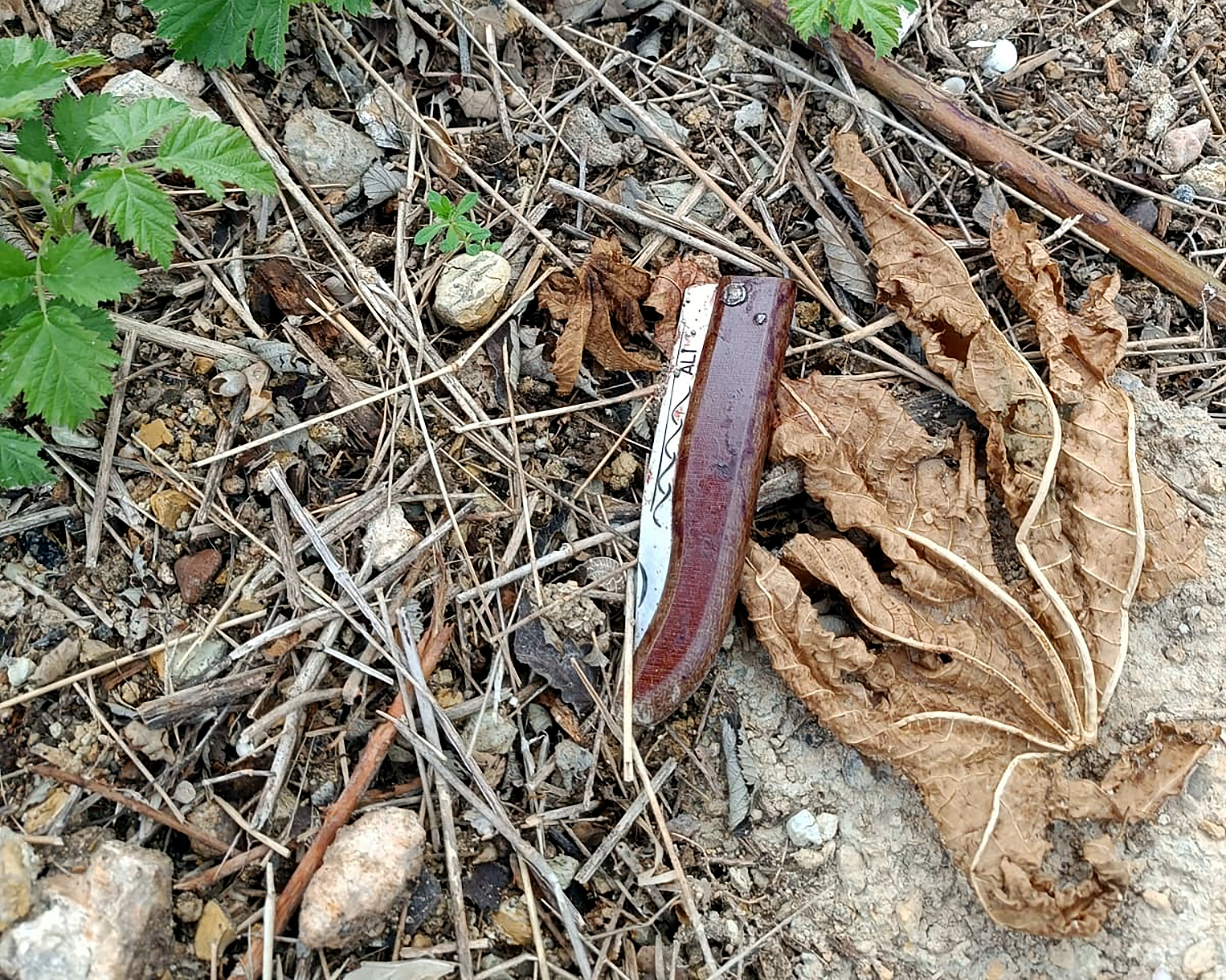 D I G E R K A R D E S L E R I N I O R T A K L I G A K A B U L E T M E Y 647438 191702