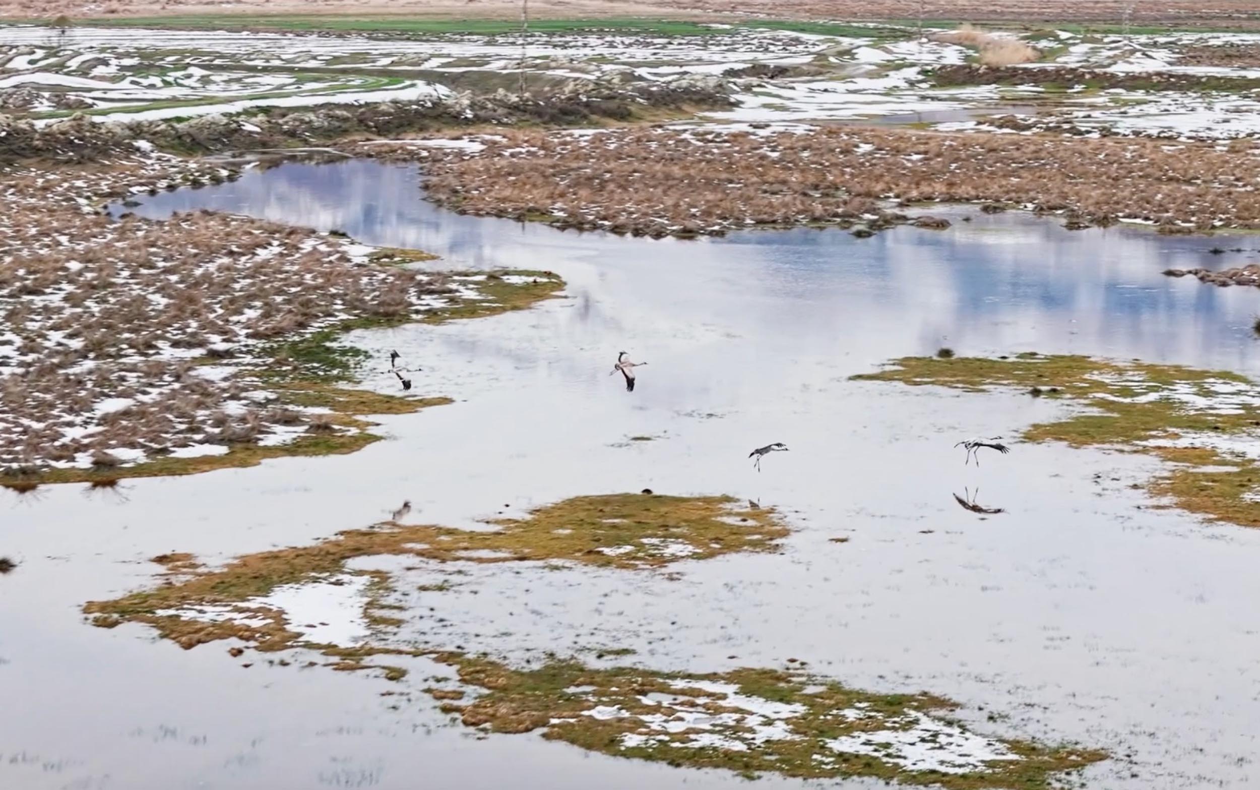 E K S I S U S A Z L I G I’ N D A T U R N A L A R Y A V R U L A R I Y L 671978 199025