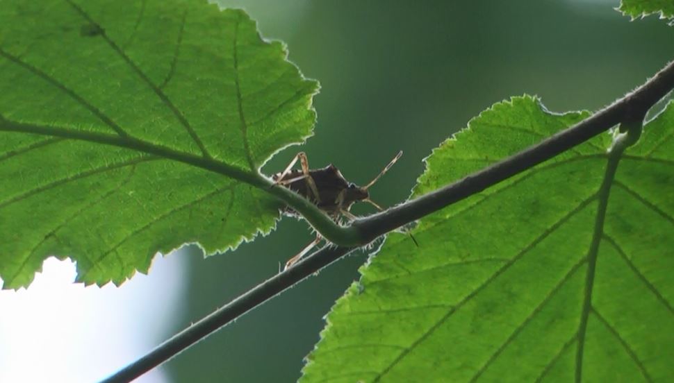 F I N D I K T A C I F T E T E H D I T 200 B I N T O N K A Y I P 659550 186793