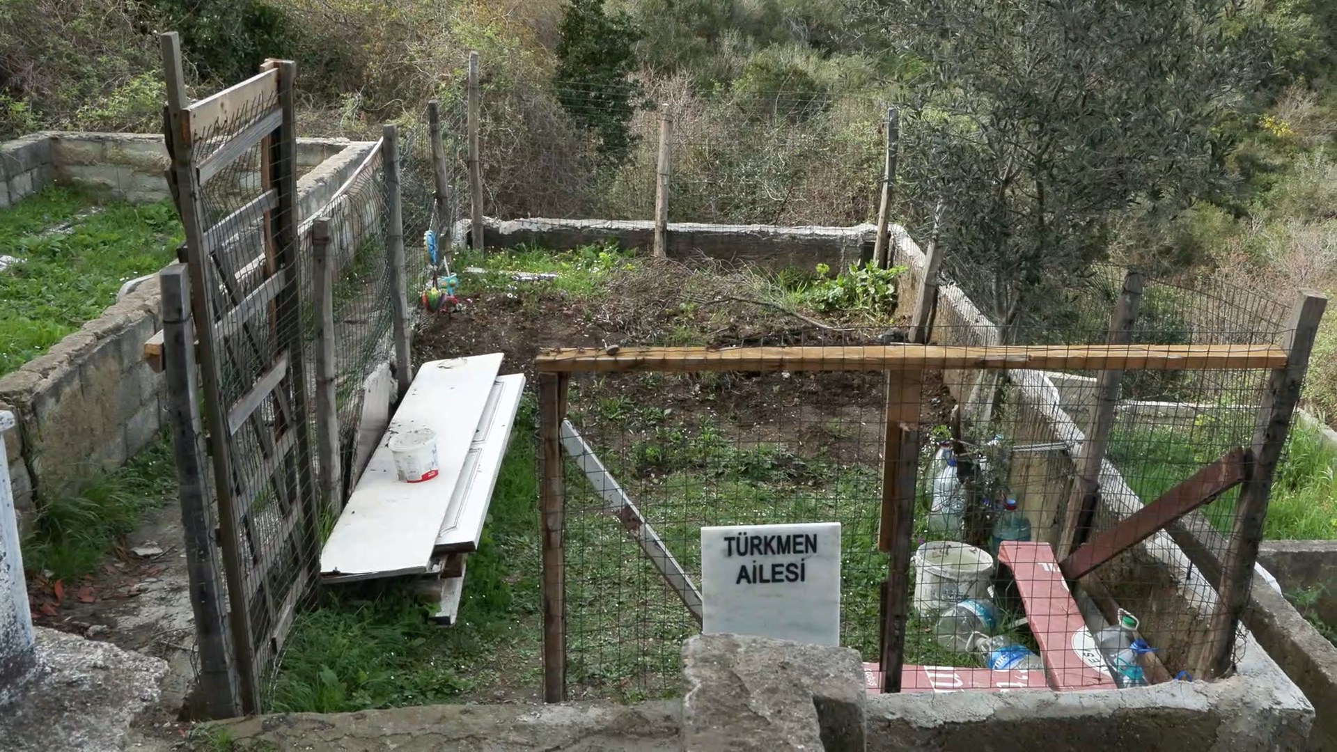 I S T A N B U L D E D E S I O L A R A K B I L D I G I K I S I B A 648620 192186