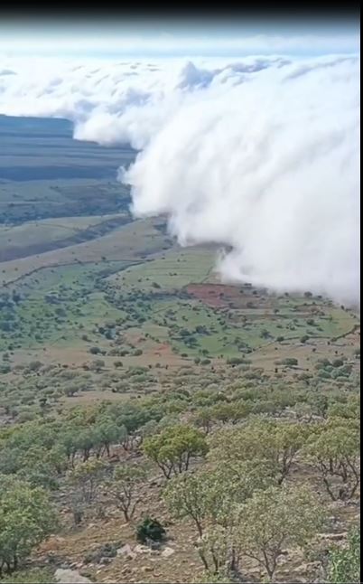 M A R D I N D E S I S G U Z E L L I G I 661997 196241