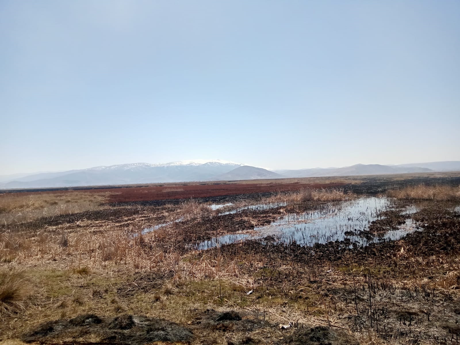 S U L T A N S A Z L I G I N D A K I Y A N G I N 22 S A A T T E S O 663895 196838