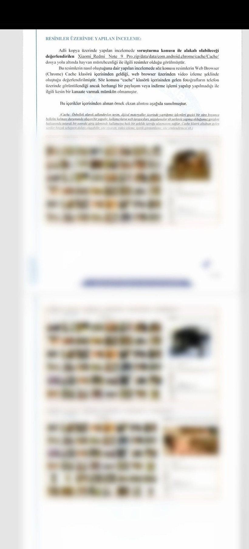 0111Yavru Köpekleri Öldüren Doktor