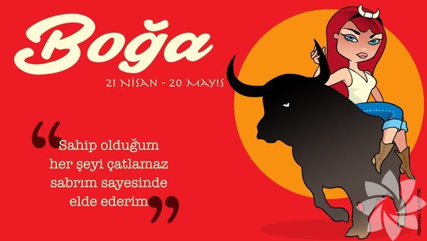02Boğa