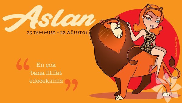 05Aslan