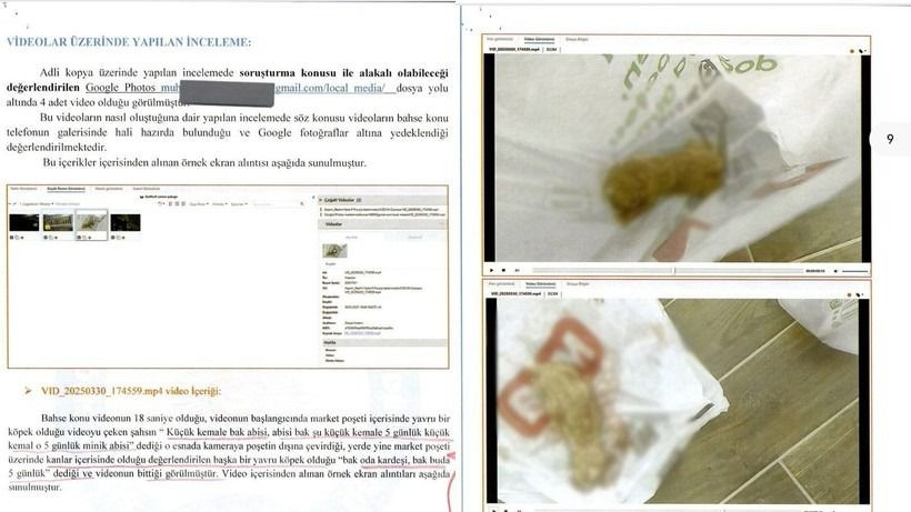 09Yavru Köpekleri Öldüren Doktor