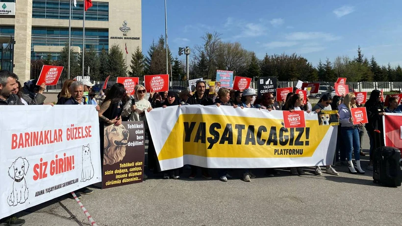 Hayvan Hakları Savunucuları Nöbette