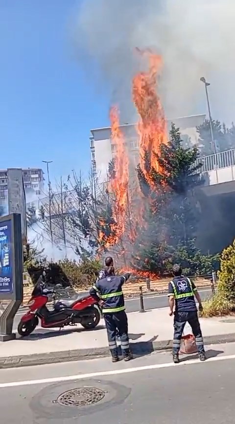 I S T A N B U L B E S I K T A S T A A G A C L I K A L A N D A Y A 714141 211256